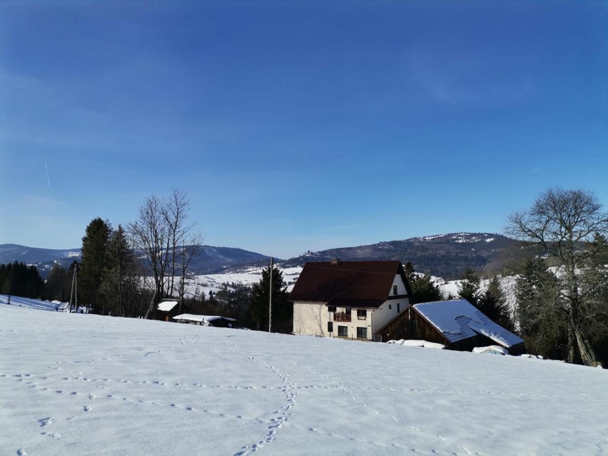 Farm stay 
