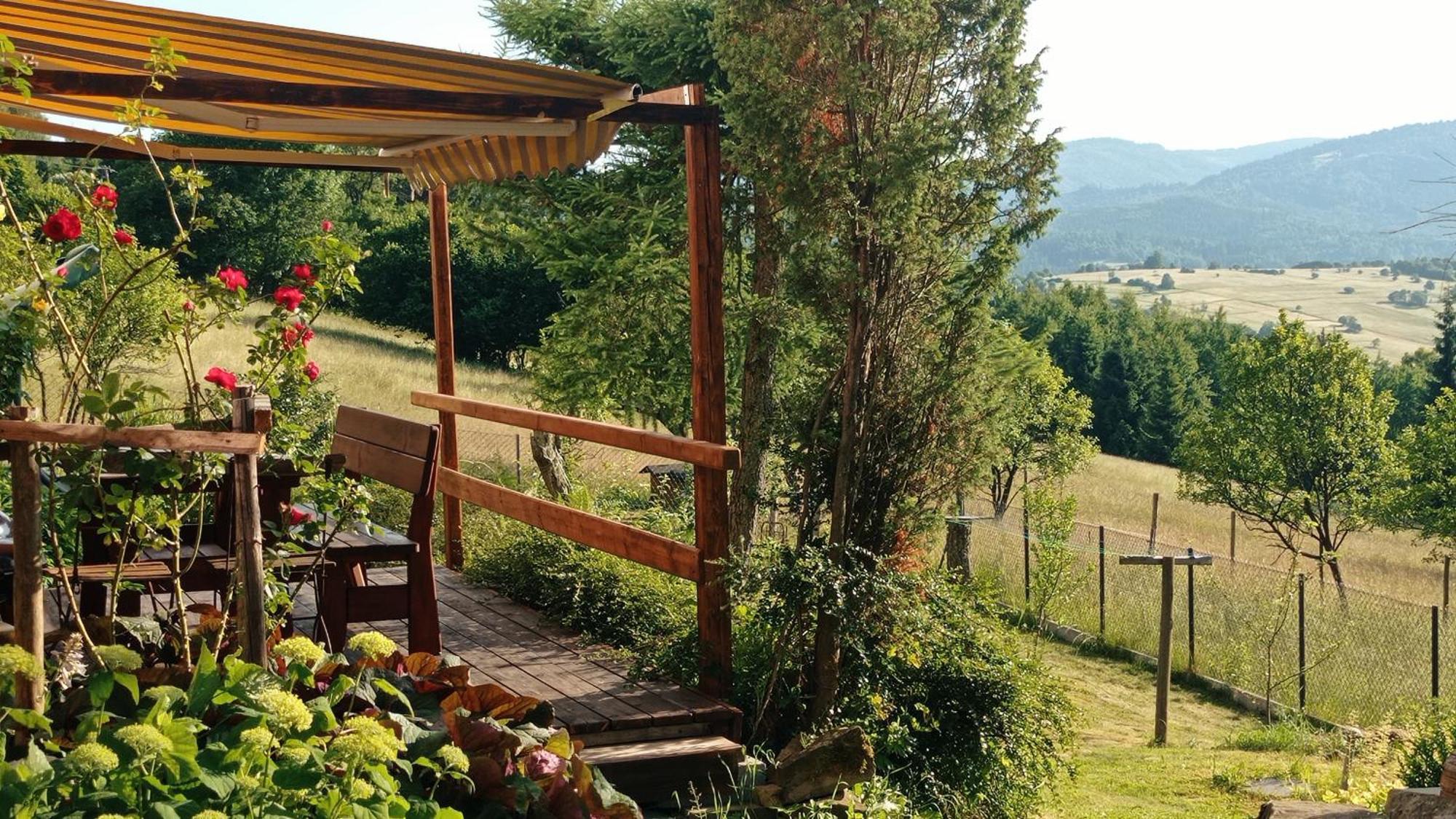 Farm stay 